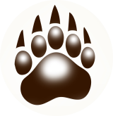 Everything Big Canoe 